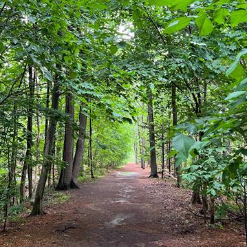 Andover Commission on Disability helps Town win a $500,000 Grant
for ADA Accessible Trail